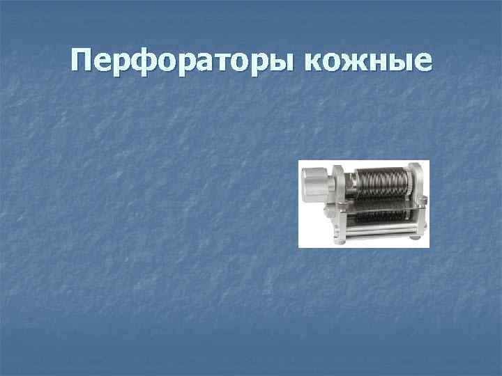  Зонды Пуговчатый 