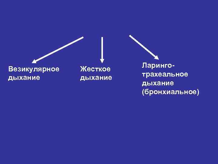 Везикулярное дыхание Жесткое дыхание Ларинготрахеальное дыхание (бронхиальное) 