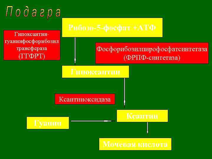 Рибозо-5 -фосфат +АТФ Гипоксантингуанинфосфорибозил трансфераза Фосфорибозилпирофосфатсинтетаза (ФРПФ-синтетаза) (ГГФРТ) Гипоксантин Ксантиноксидаза Гуанин Ксантин Мочевая кислота