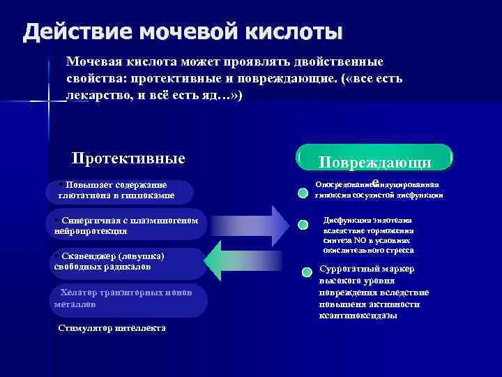 Действие мочевой кислоты Мочевая кислота может проявлять двойственные свойства: протективные и повреждающие. ( «все