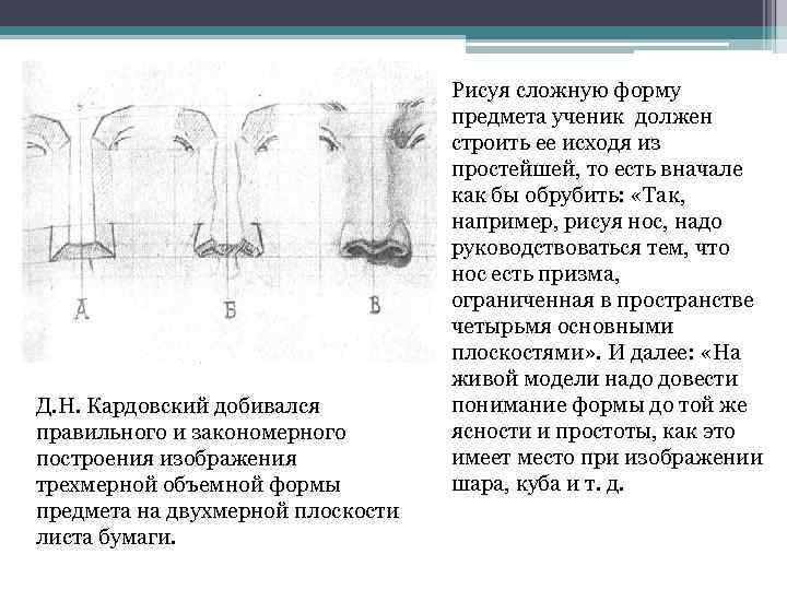 Д. Н. Кардовский добивался правильного и закономерного построения изображения трехмерной объемной формы предмета на