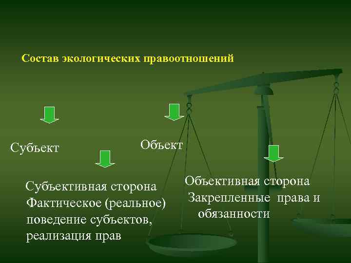 Возникновение экологических правоотношений