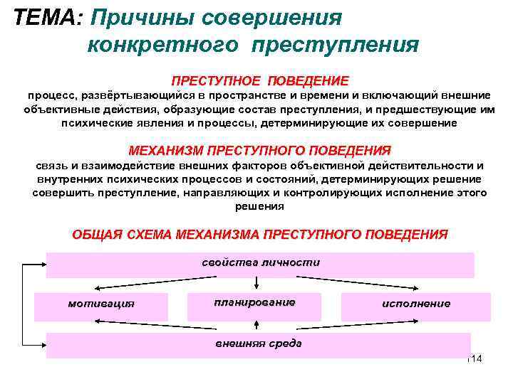 Виды преступного поведения