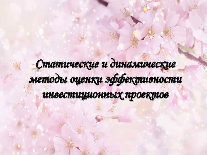 Статические и динамические методы оценки эффективности инвестиционных проектов 