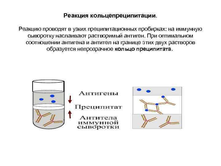 Реакция кольцепреципитации. Реакцию проводят в узких преципитационных пробирках: на иммунную сыворотку наслаивают растворимый антиген.