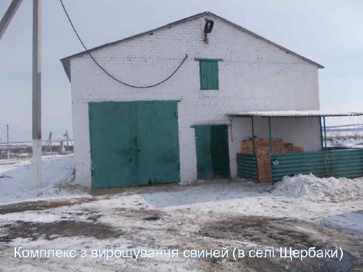 Комплекс з вирощування свиней (в селі Щербаки) 