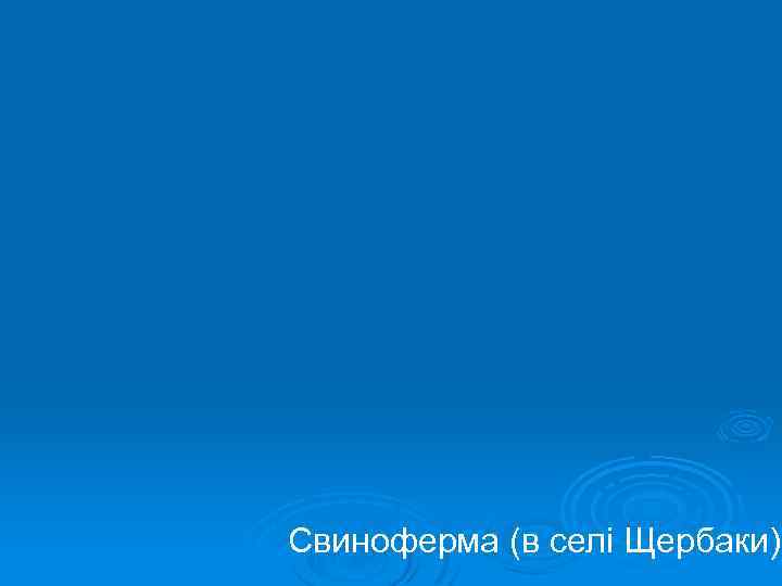 Свиноферма (в селі Щербаки) 