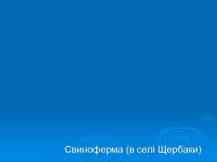 Свиноферма (в селі Щербаки) 