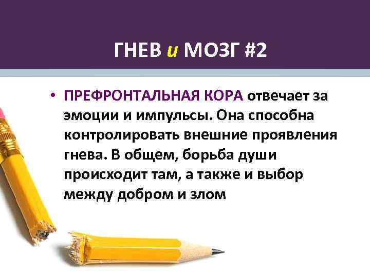 ГНЕВ и МОЗГ #2 • ПРЕФРОНТАЛЬНАЯ КОРА отвечает за эмоции и импульсы. Она способна