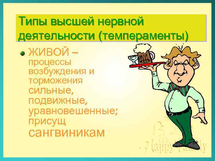 Типы высшей нервной деятельности (темпераменты) ЖИВОЙ – процессы возбуждения и торможения сильные, подвижные, уравновешенные;