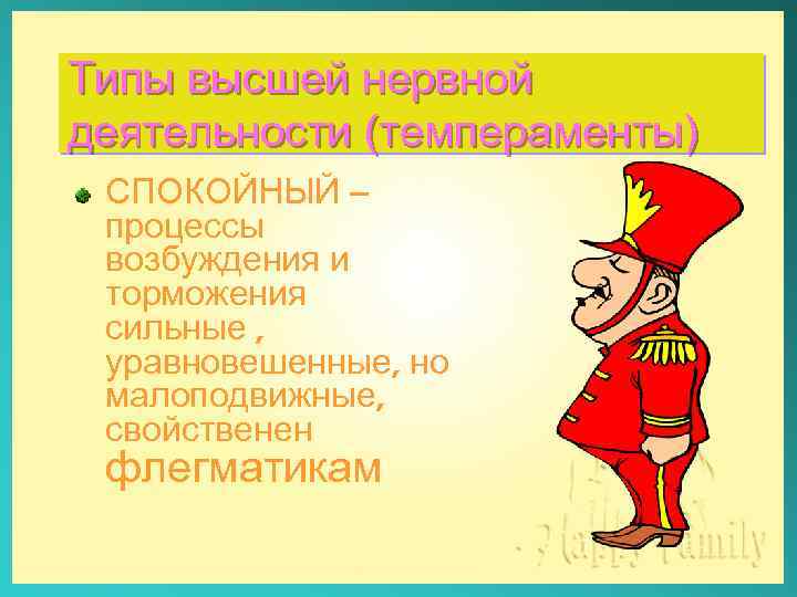 Типы высшей нервной деятельности (темпераменты) СПОКОЙНЫЙ – процессы возбуждения и торможения сильные , уравновешенные,