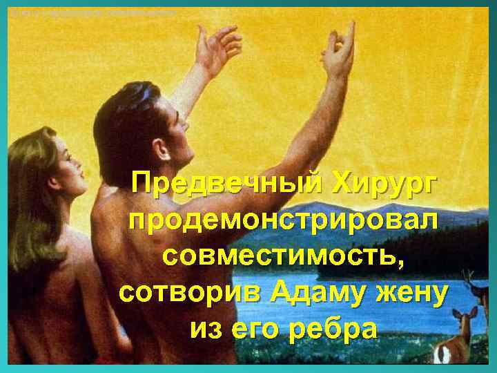 Ключи к супружеской совместимости Предвечный Хирург продемонстрировал совместимость, сотворив Адаму жену из его ребра