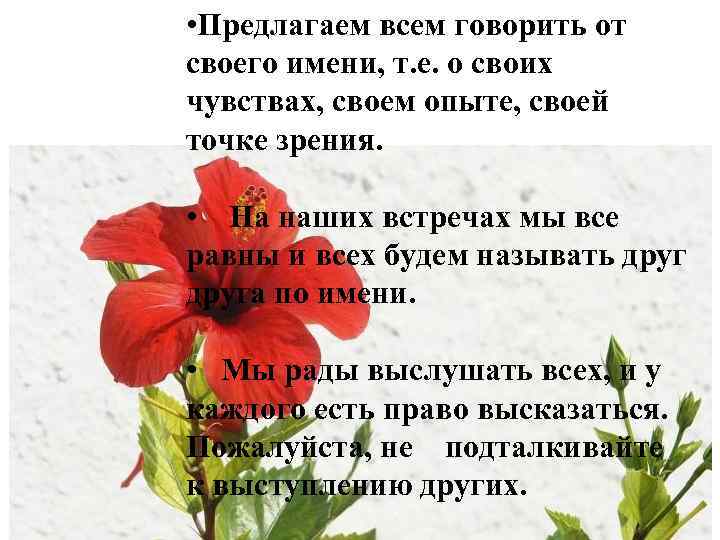  • Предлагаем всем говорить от своего имени, т. е. о своих чувствах, своем