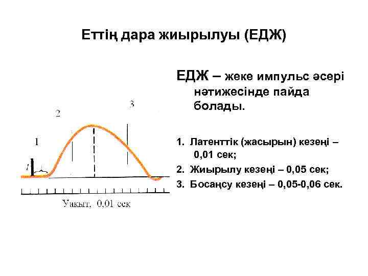 Еттің дара жиырылуы (ЕДЖ) ЕДЖ – жеке импульс әсері нәтижесінде пайда болады. 1. Латенттік