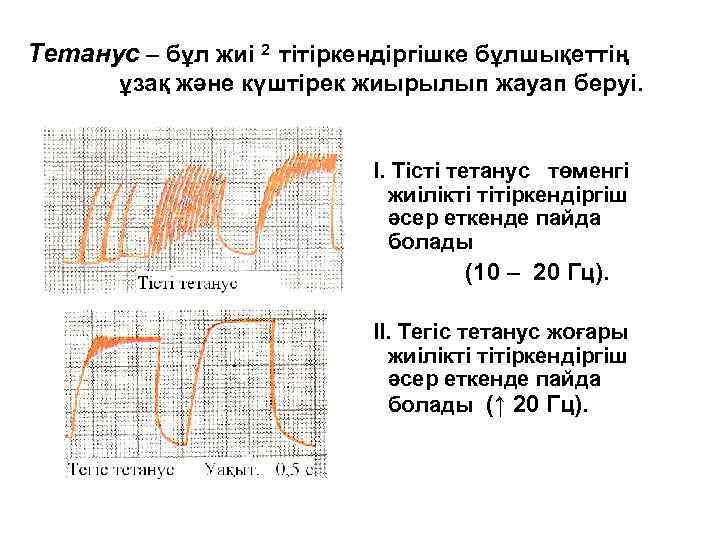 Тетанус – бұл жиі 2 тітіркендіргішке бұлшықеттің ұзақ және күштірек жиырылып жауап беруі. I.