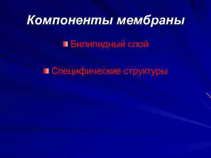 Компоненты мембраны Билипидный слой Специфические структуры 