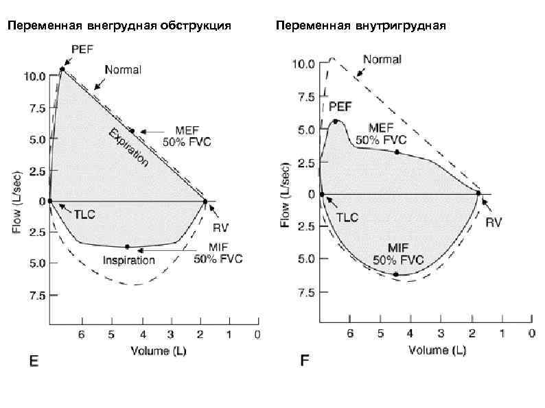 Функция внешнего дыхания руководство