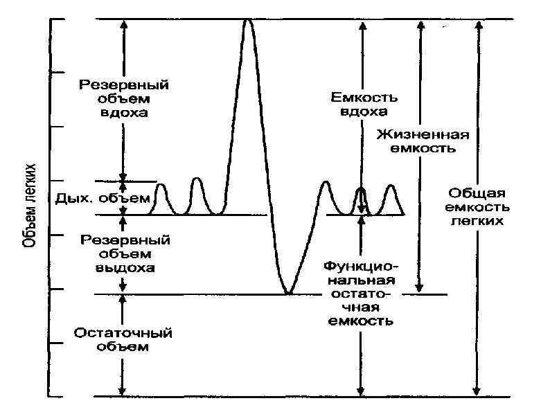 Типы периодического дыхания схема