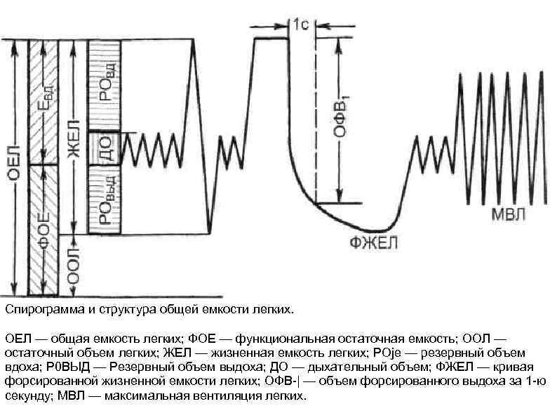 Фжел расшифровка. Спирограмма жизненной емкости легких. Дыхательный объем на спирограмме. Спирограмма форсированного выдоха. Резервный объем вдоха на спирограмме.