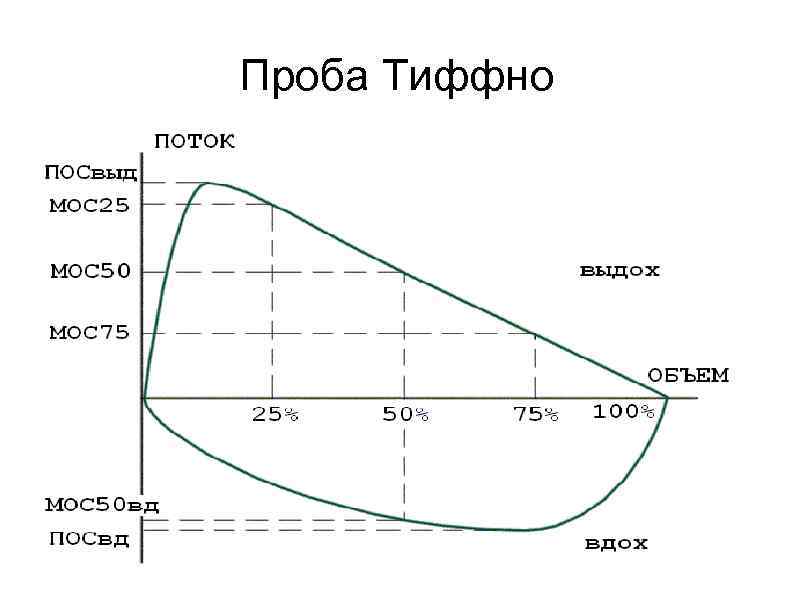 Графическое изображение фаз дыхания