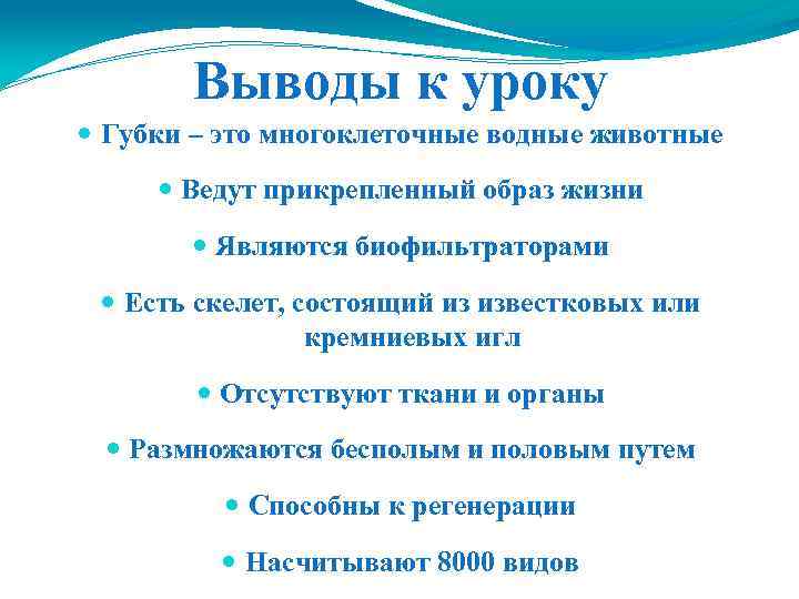 Выводы к уроку Губки – это многоклеточные водные животные Ведут прикрепленный образ жизни Являются