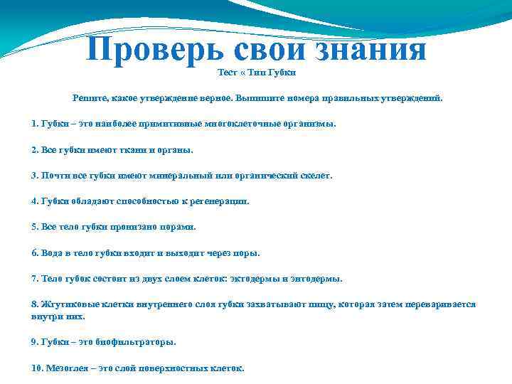 Проверь свои знания Тест « Тип Губки Решите, какое утверждение верное. Выпишите номера правильных