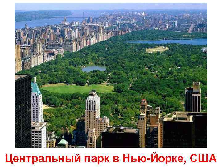 Центральный парк в Нью-Йорке, США 