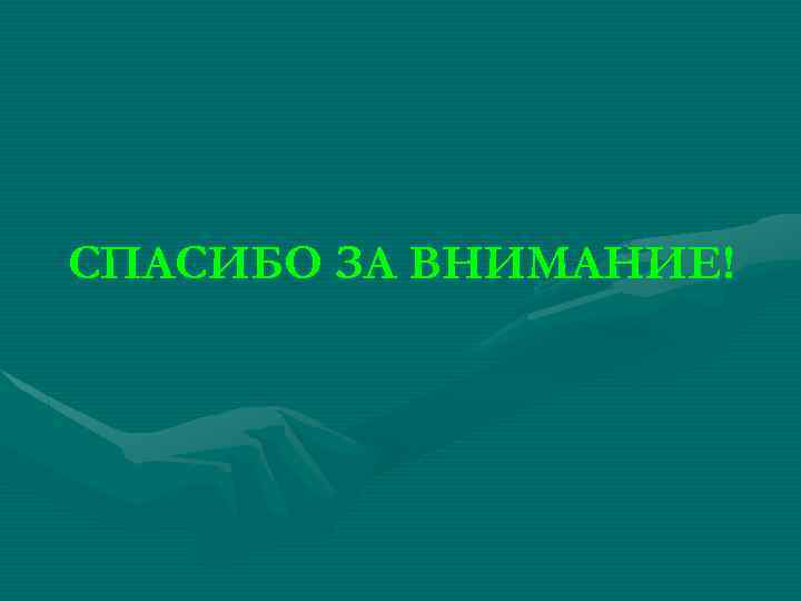 СПАСИБО ЗА ВНИМАНИЕ! 