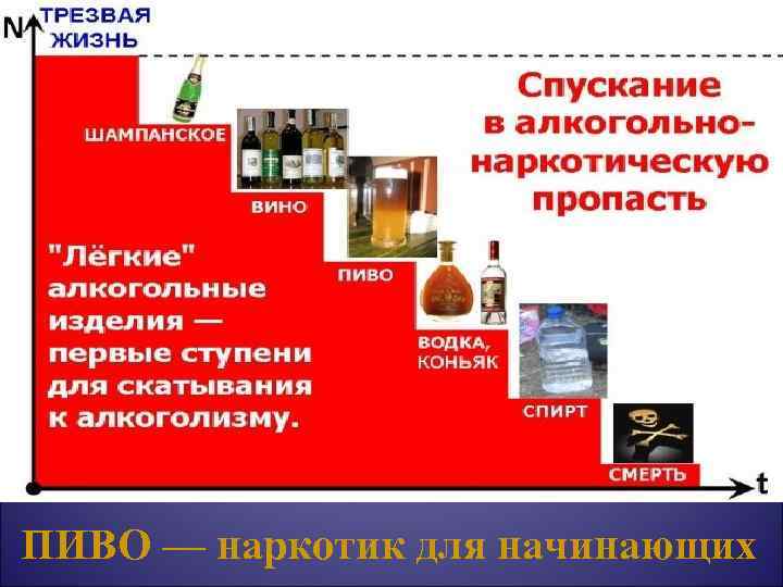 ПИВО — наркотик для начинающих 
