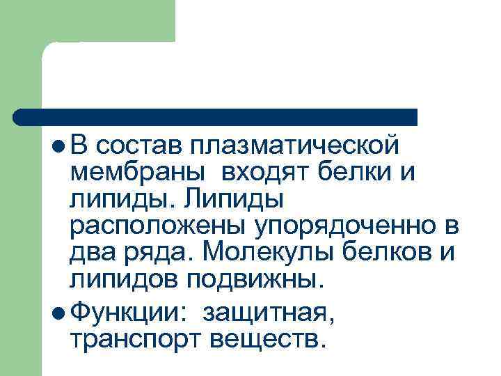 l. В состав плазматической мембраны входят белки и липиды. Липиды расположены упорядоченно в два