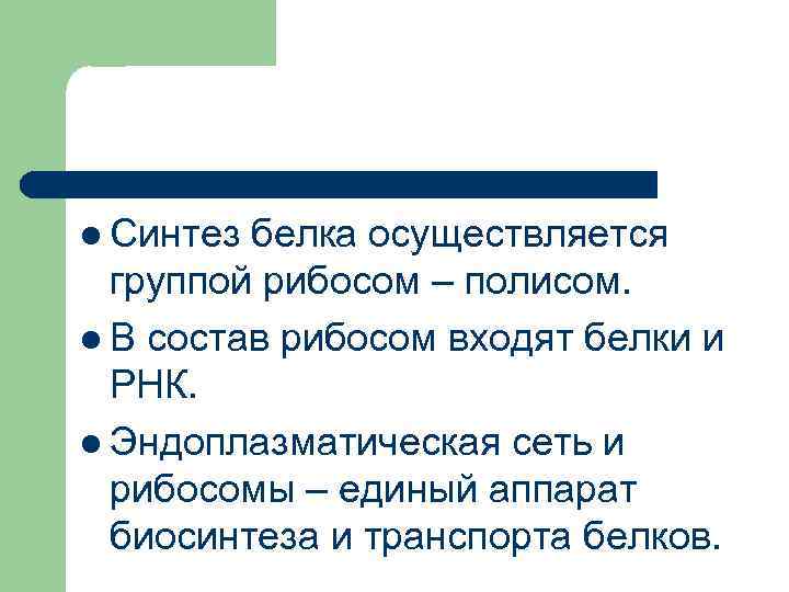 l Синтез белка осуществляется группой рибосом – полисом. l В состав рибосом входят белки