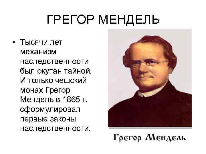 ГРЕГОР МЕНДЕЛЬ • Тысячи лет механизм наследственности был окутан тайной. И только чешский монах