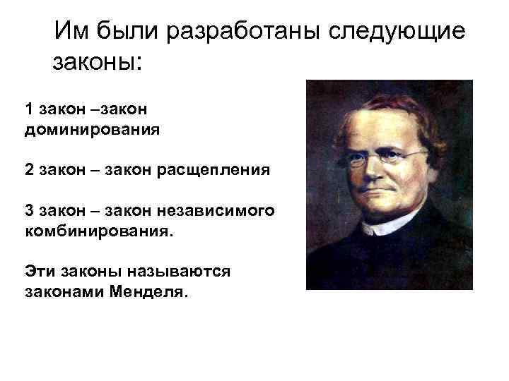 Им были разработаны следующие законы: 1 закон –закон доминирования 2 закон – закон расщепления