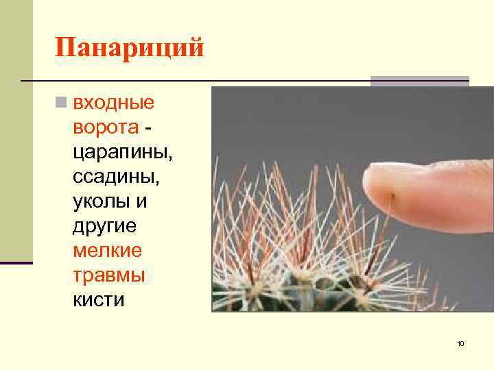 Панариций n входные ворота царапины, ссадины, уколы и другие мелкие травмы кисти 10 