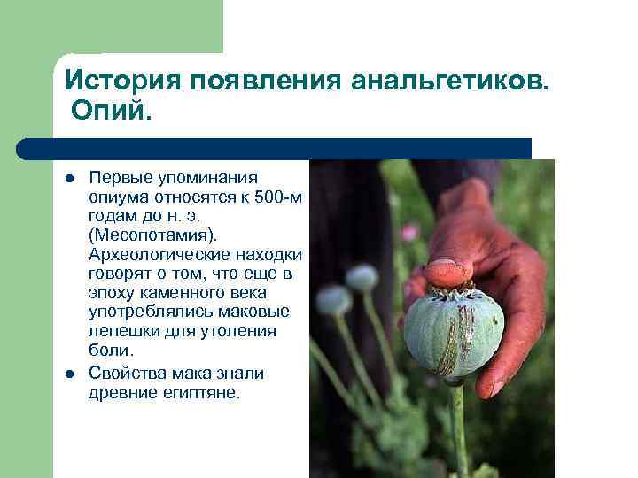 История появления анальгетиков. Опий. l l Первые упоминания опиума относятся к 500 -м годам