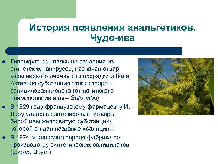 История появления анальгетиков. Чудо-ива l l l Гиппократ, ссылаясь на сведения из египетских папирусов,