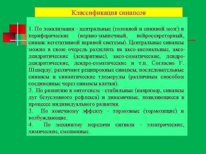 Классификация синапсов 1. По локализации центральные (головной и спинной мозг) и периферические (нервно мышечный,