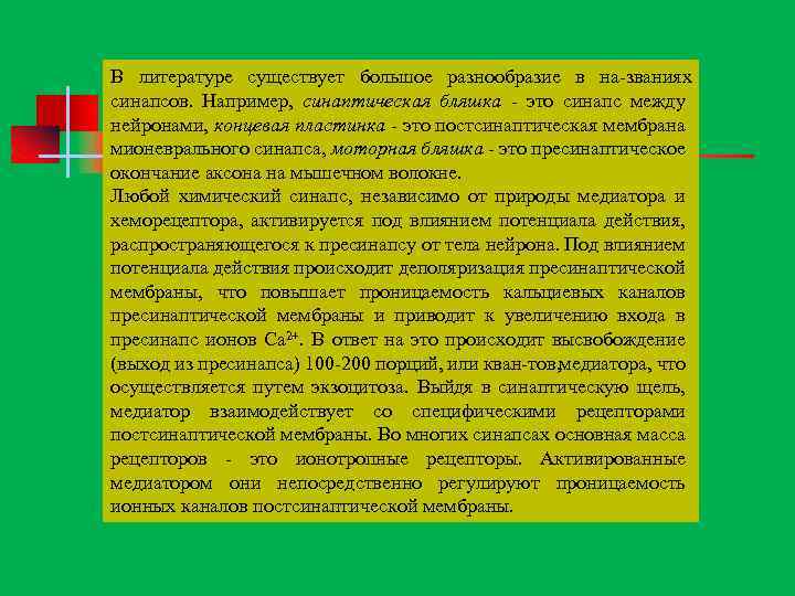 В литературе существует большое разнообразие в на званиях синапсов. Например, синаптическая бляшка это синапс