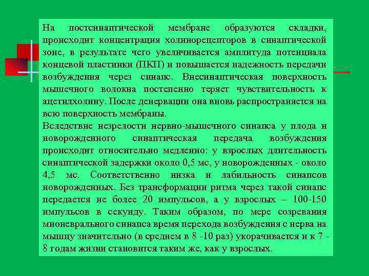 На постсинаптической мембране образуются складки, происходит концентрация холинорецепторов в синаптической зоне, в результате чего