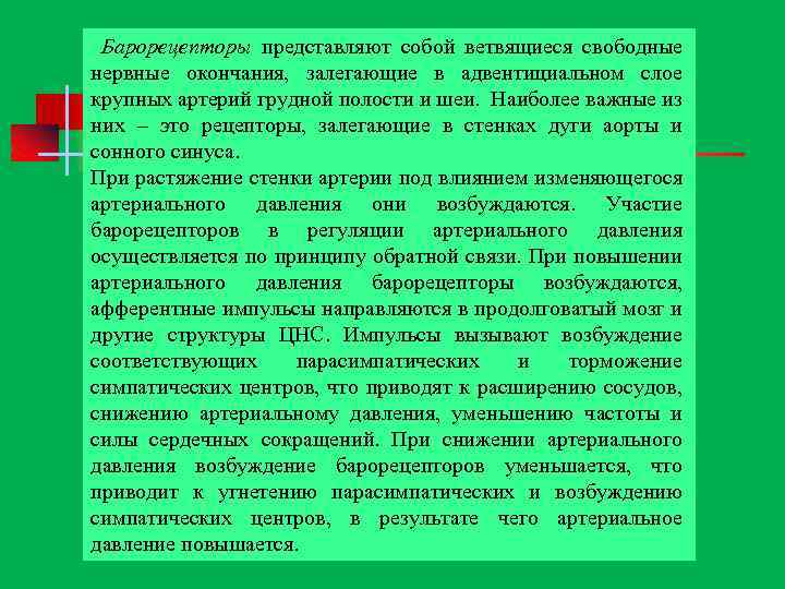  Барорецепторы представляют собой ветвящиеся свободные нервные окончания, залегающие в адвентициальном слое крупных артерий