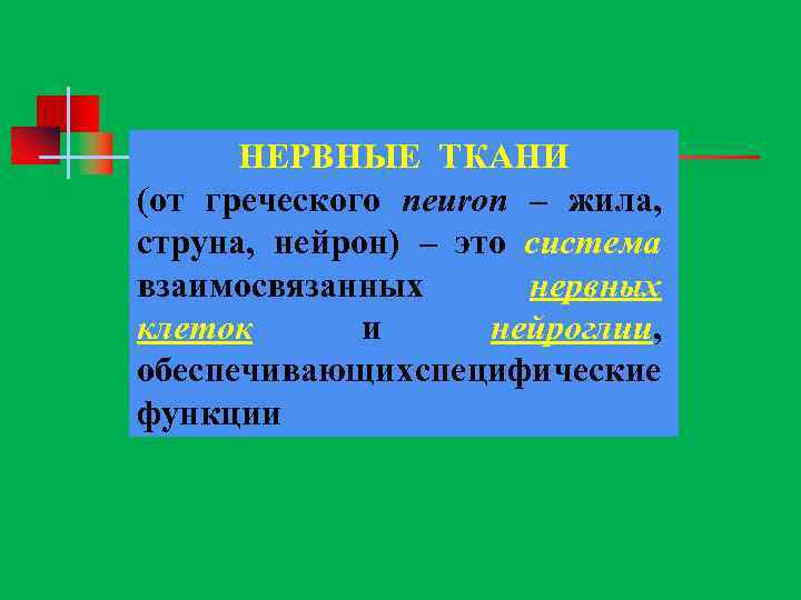 НЕРВНЫЕ ТКАНИ (от греческого neuron – жила, струна, нейрон) – это система взаимосвязанных нервных