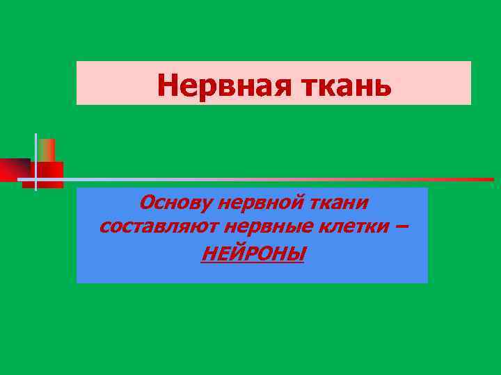 Нервная ткань Основу нервной ткани составляют нервные клетки – НЕЙРОНЫ 