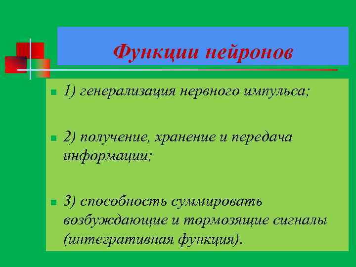 Функции нейронов n n n 1) генерализация нервного импульса; 2) получение, хранение и передача