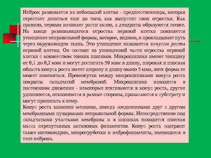 Нейрон развивается из небольшой клетки предшественницы, которая перестает делиться еще до того, как выпустит