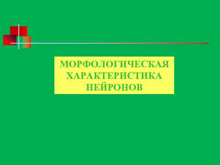 МОРФОЛОГИЧЕСКАЯ ХАРАКТЕРИСТИКА НЕЙРОНОВ 