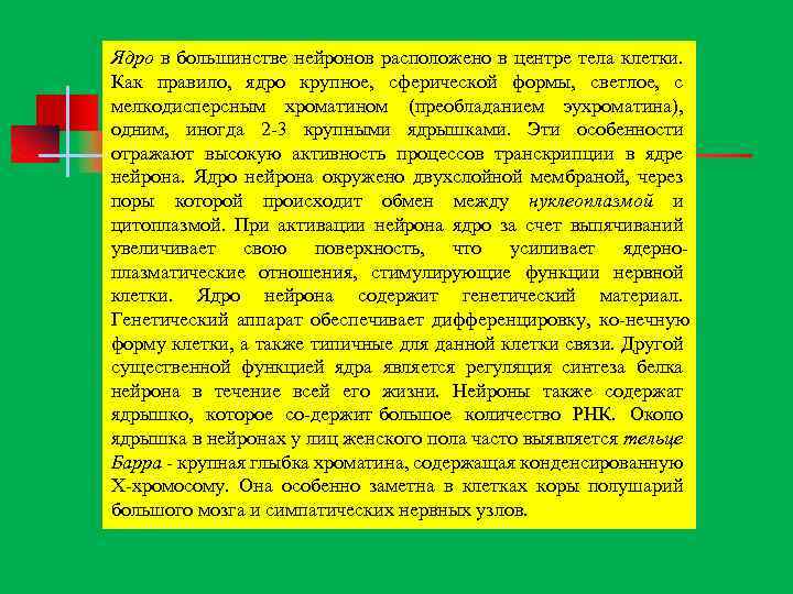 Ядро в большинстве нейронов расположено в центре тела клетки. Как правило, ядро крупное, сферической