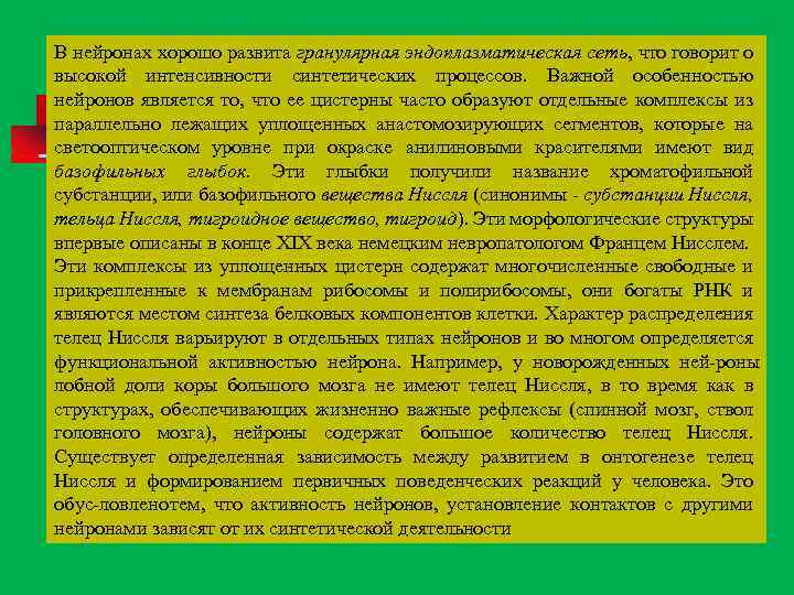 В нейронах хорошо развита гранулярная эндоплазматическая сеть, что говорит о высокой интенсивности синтетических процессов.