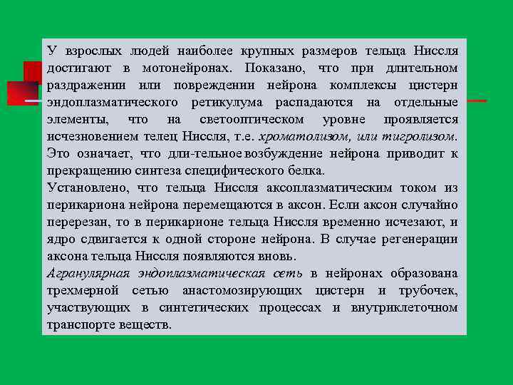 У взрослых людей наиболее крупных размеров тельца Ниссля достигают в мотонейронах. Показано, что при