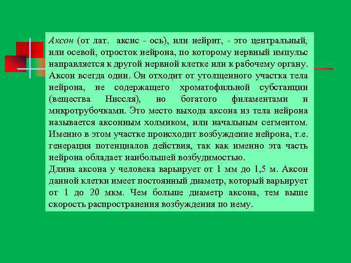 Аксон (от лат. аксис ось), или нейрит, это центральный, или осевой, отросток нейрона, по