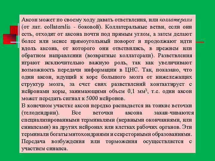 Аксон может по своему ходу давать ответвления, или коллатерали (от лат. collateralis боковой). Коллатеральные